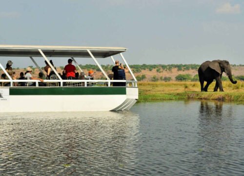 3 Day Inner Delta By Motor Boat Safari