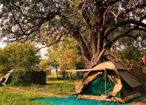 Botswana Adventure (Serviced Camping)