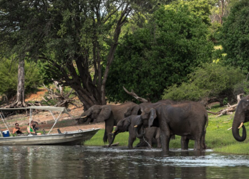 Tour De Elephant Sands Lodge (3 Days 2 Nights)