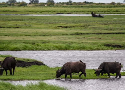 East Africa Adventure