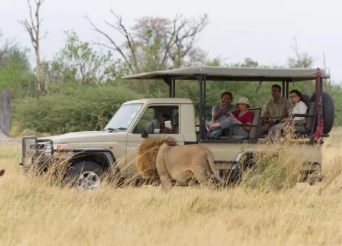 Explore Zimbabwe With Southern Singita Safari