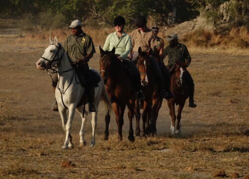 Horseback Safari