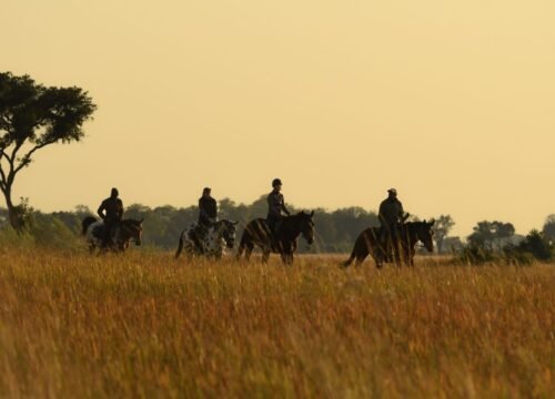 Maasai Mara Migration Season Safari